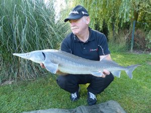 PHILIPPE BOUILLET consultant pêche au coup